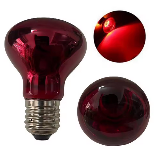 Red Incandescent Infrared Bulb 40W - E27